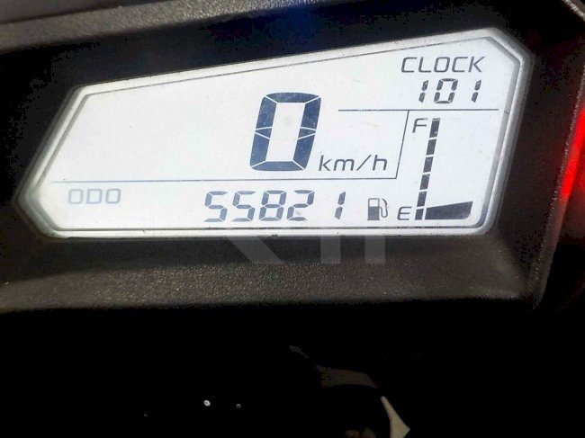 1000106904_19