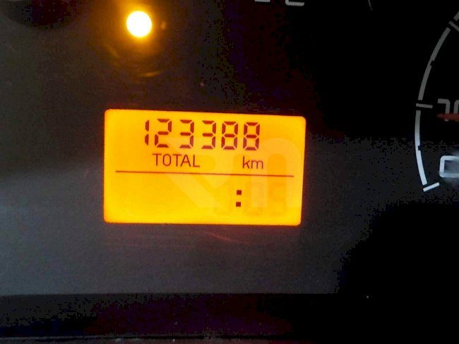1100301233_19