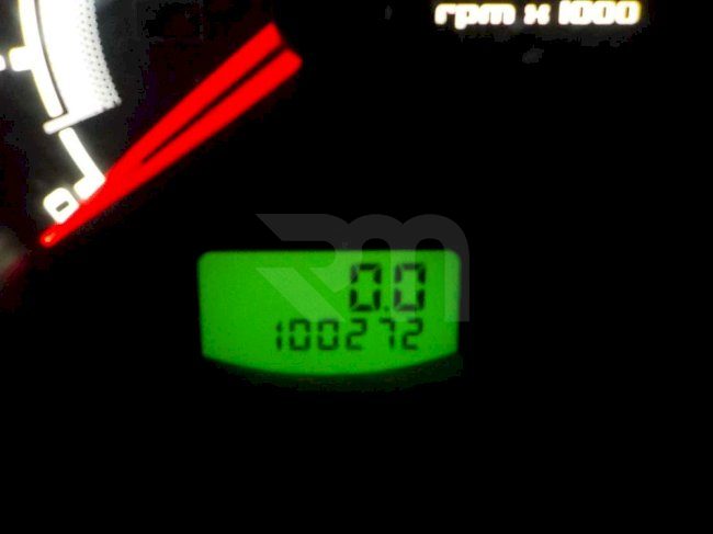 1100301239_19
