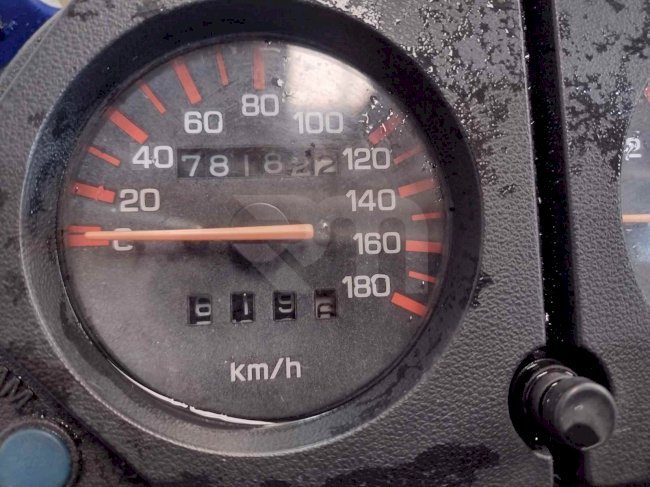 1000108994_20